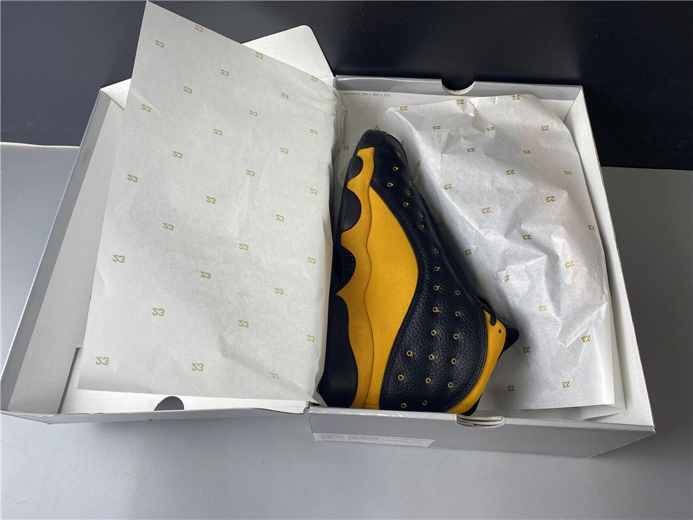 Air Jordan 13